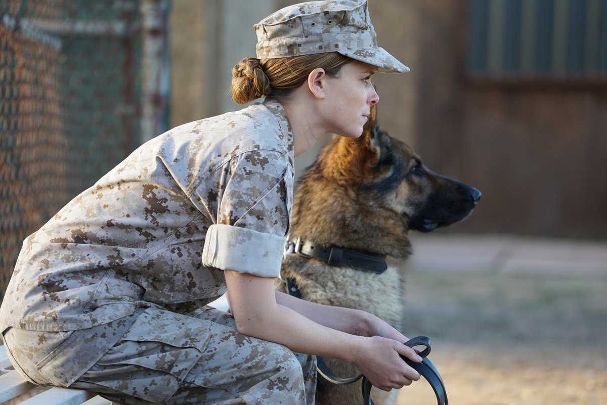 Megan Leavey : The biographical drama hits theaters this Friday