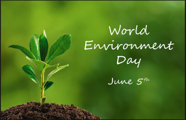 World Environment Day: What Shilpa Shetty and Alia Bhatt have to say about the day?