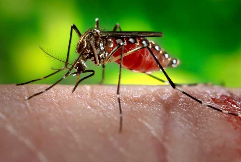 This antibody test will differentiate Zika virus infections from other infections