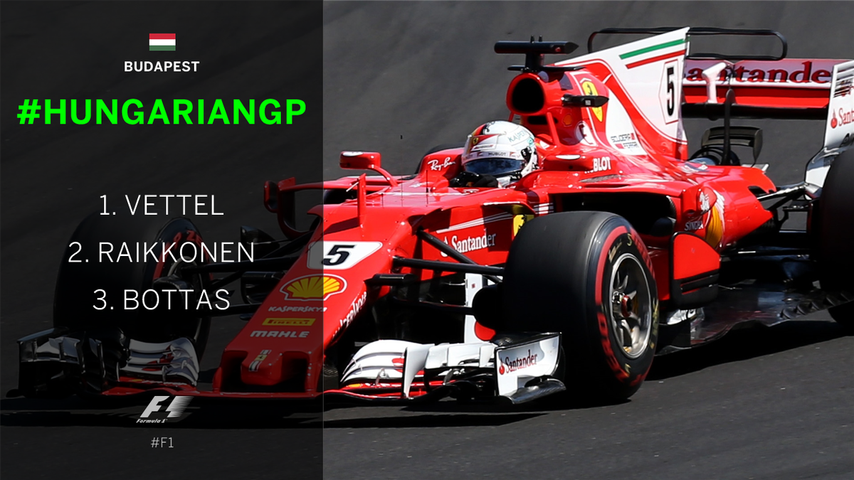 Sebastian Vettel wins Hungarian F1 Grand Prix