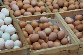 Italy : More tainted egg products found