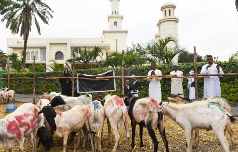 Muslims waiting to buy goats during the Eid al-Adha celebration in Nairobi, capital of Kenya.