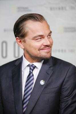 Leonardo DiCaprio, Toni Garrn have reconciled