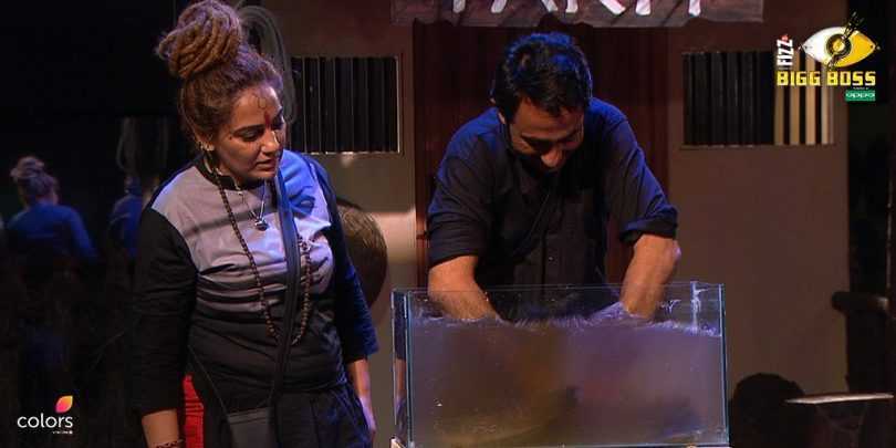 Bigg Boss 11, Episode update, A new task challenge commences in an episode fraught with fights