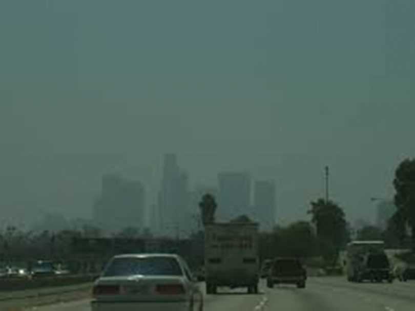 Air pollution: Diet to reduce the harmful effects of Smog
