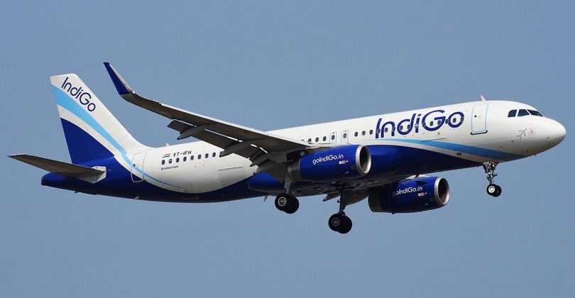 Indigo Flight  6E-742 delayed by 3 hours after hitting Wild Boar on runway