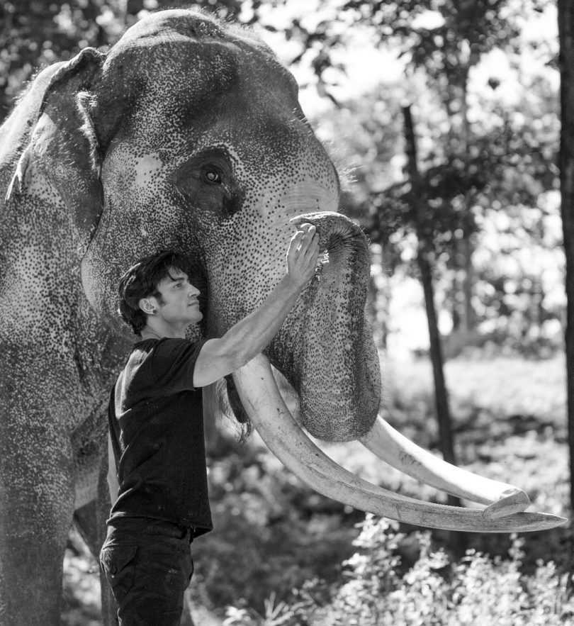 Junglee: Vidyut Jammwal shares new look with elephant friend