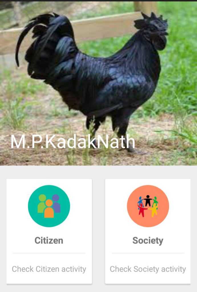 Shivraj Govt launches “Kadaknath” App to sell black chicken breed