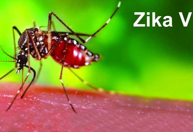 PMO seeks report from Health Ministry as Zika virus outbreaks in Rajasthan